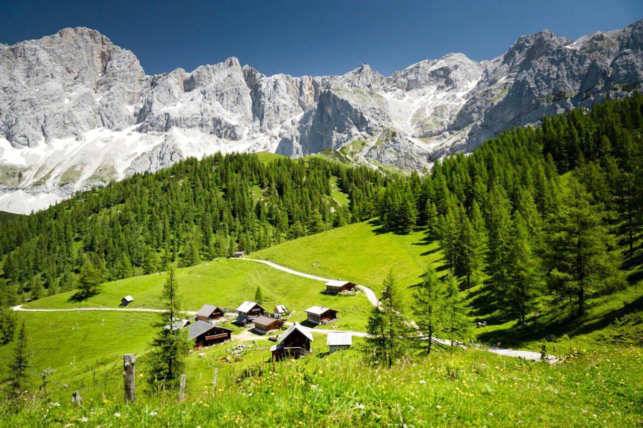 Apartman Ramsau Ramsau am Dachstein Ngoại thất bức ảnh
